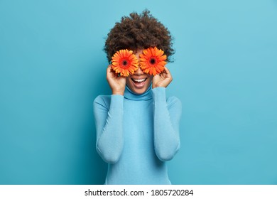 Playful positive African American woman covers eyes with two orange gerberas, enjoys spring time, fresh flowers, has fun, dressed casually, isolated on blue background. Happy florist indoor. - Shutterstock ID 1805720284