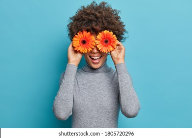 Playful positive curly woman covers eyes with two orange gerbera daisy, tells womens secrets, has happy mood, wears grey turtleneck, makes funny faces with flower, isolated on blue background - Shutterstock ID 1805720296