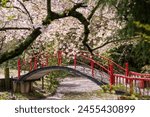 Playground of Asahiyama Shinrin Park ( Mt. Asahi Forest Park ). Cherry blossoms in full bloom in Shikoku island. Mitoyo, Kagawa, Japan.