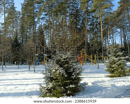 A playground in a snowy winter forest. Christmas tree in the snow is illuminated by sunlight.