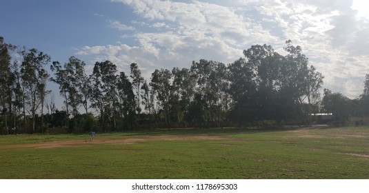 Playground with trees