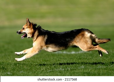 Playing catch
