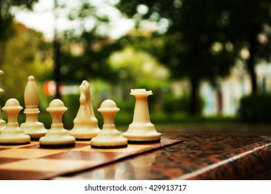 Playing Chess In The Park