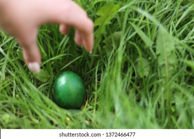 Playing egg hunt for easter holidays in Christian culture. Holiday season in spring and April. Gattering collored eggs in grass. 