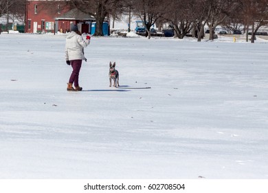 playing fetch