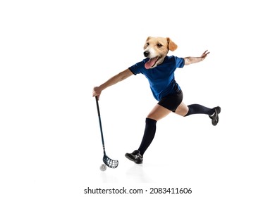 Playing floorball. Contemporary artwork. One young sportive woman, floorball player headed by dog's head in action and motion. Copy space for ad. Sport, emotions, achievements, surrealism concept.