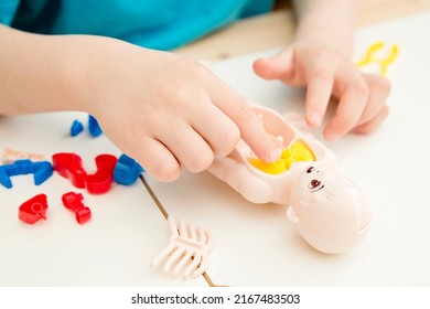 Playing hospital and doctors. Anatomy studies for kids. Human body organs and skeleton parts toy. Learning medical terms, order and location of each part.