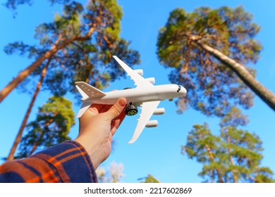 Playing With A Model Aircraft In The Woods