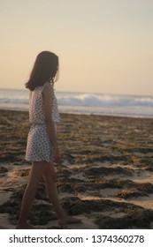 Playing On The Beach Until Sunset Will Never Be Forgotten By Time. The Beautiful Scenery On The Beach And The Sea Makes Me More Calm And Peaceful. Here Too There Are Many Dogs Playing Water On The Beach