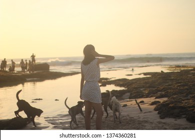 Playing On The Beach Until Sunset Will Never Be Forgotten By Time. The Beautiful Scenery On The Beach And The Sea Makes Me More Calm And Peaceful. Here Too There Are Many Dogs Playing Water On The Beach