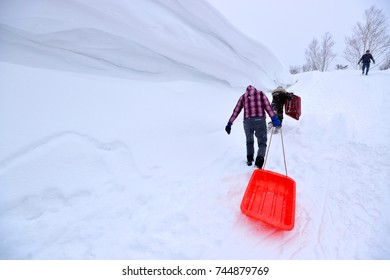 Playing On Snow Sledding With Trey  Or Snow Rafting At Winter Festival Hokkaido Japan. 