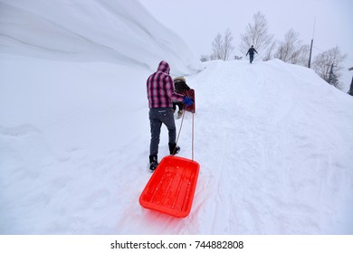 Playing On Snow Sledding With Trey  Or Snow Rafting At Winter Festival Hokkaido Japan. 