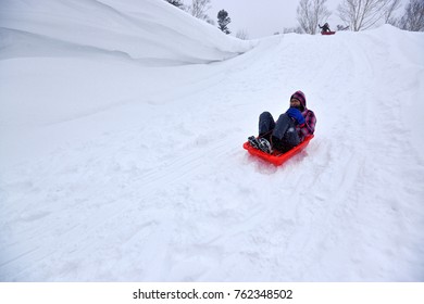 Playing On Snow Sledding With Trey  Or Snow Rafting At Winter Festival Hokkaido Japan. 