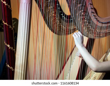 Playing With Pedal Harp