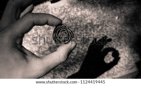 Similar – Close-up of a man’s hand holding a dried leaf of quercus