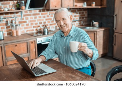 Pleasant mood. Cheerful positive aged man holding a cup with tea and looking at you while working on the laptop