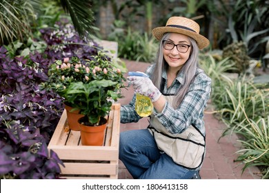 Pleasant pretty senior woman gardener in glasses and straw hat, spraying plants in flowerpots with water sprayer, during work in beautiful hothouse with different exotic plants. Woman in greenhouse - Powered by Shutterstock