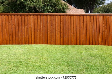 A Pleasant Sunny Backyard With Green Grass And A Nice Wood Fence.