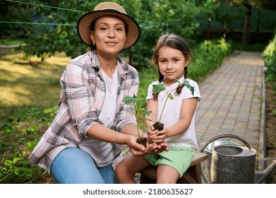 Pleasant young woman, mom and her daughter holding soil with growing cucumber seedlings in their hands, looking at camera. Family agribuisness, eco farming. Concept of World Environment Day. Ecology. - Powered by Shutterstock