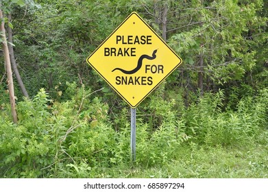 725 Snake crossing road Images, Stock Photos & Vectors | Shutterstock