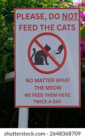 Please do not feed the cats warning sign. Sign prohibiting feeding cats, noting caretakers provide food twice daily.