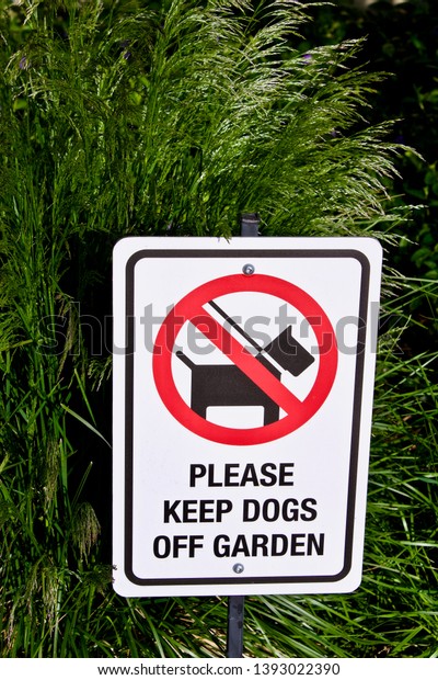 Please Keep Dogs Off Garden Sign Stock Photo Edit Now 1393022390