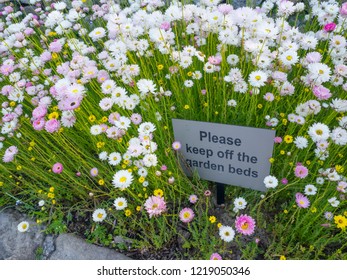 garden bed signs