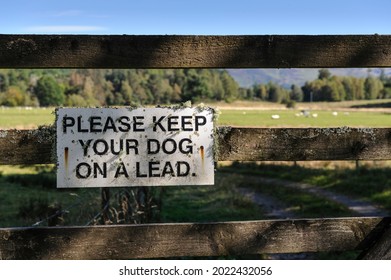 Please Keep Your Dog On A Lead Sign On Wooden Gate With Out Of Focus Track And Sheep In Field In Background.