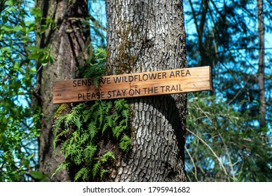 Please Stay On The Trail Sign