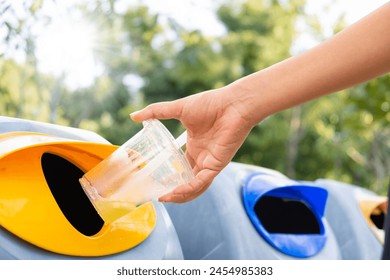 Please throw plastic cups into the bin. A woman puts trash into a trash can by separating trash for different types of waste and recycling waste.
