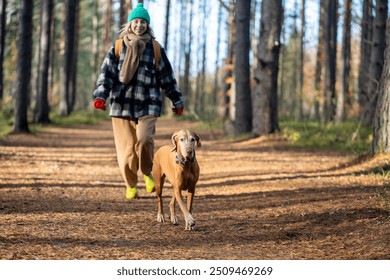 Pleased dog vizsla walking with joyful woman owner in cold fall forest. Happy middle age female strolling with canine pet in autumn woodland park wearing warm clothes merrily chasing after playful dog