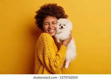 Pleased happy Afro girl gets lovely puppy, plays and embraces four legged friend with love, stands against yellow background, wears knitted jumper. Woman hugs Pomeranian spitz. Humans and dogs