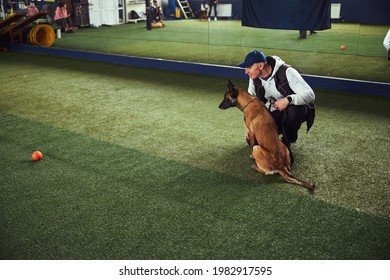 Pleased Professional Animal Trainer Training An Adult Canine