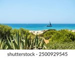 pleasure boats passing in front of La Barrosa beach in Sancti Petri Cadiz