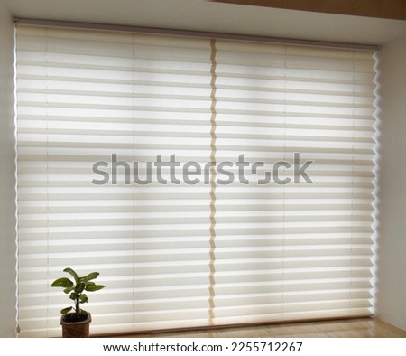 Pleated blinds XL, beige color, with 50mm fold closeup in the window opening in the interior. Home blinds - modern bottom up privacy shades on apartment windows. 