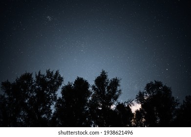 Pleiades and constellations in the pine forest