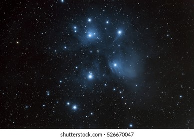 The Pleiades Open Star Cluster And Reflection Nebula In The Constellation Of Taurus.