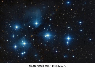 Pleidaes, famouse blue stars