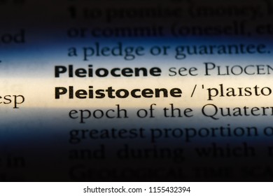 Pleistocene Word In A Dictionary. Pleistocene Concept.