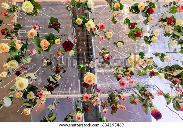 roses hanging from ceiling