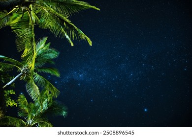 Plenty of stars and the Milky Way above coconut palm trees. Fiji nighttime beach scene. Stunning night sky over the Yasawa Islands, Fiji. Palm trees, stars, and the Milky Way.  - Powered by Shutterstock