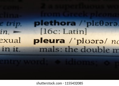 Pleura Word In A Dictionary. Pleura Concept.