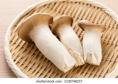 Pleurotus Eryngii, Close-up