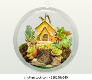 Plexiglas ball with succulent plants, moss, a small wooden house handmade ideal to give at Christmas or for recreational game for children, adults and all the family