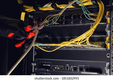 Pliers hand cuts wires in server room. The concept of protecting networks and server equipment from damage