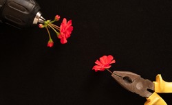 Pliers And A Screwdriver Hold Red Geranium Flowers On A Dark Background. Space For The Text. Selective Focus.