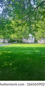 Plot with decorative green grass and white houses for recreation. Tourist recreation. Summer nature.