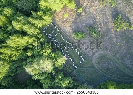A plot of land on the edge of the forest arranged for a mobile apiary with many hives. Shooting from the air. Copy space.