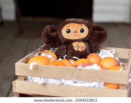 the plot from the Soviet cartoon about Cheburashka and crocodile gena