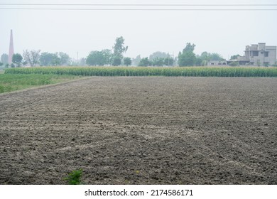 Ploughed Agricultural Land In Punjab With A House In Distance
